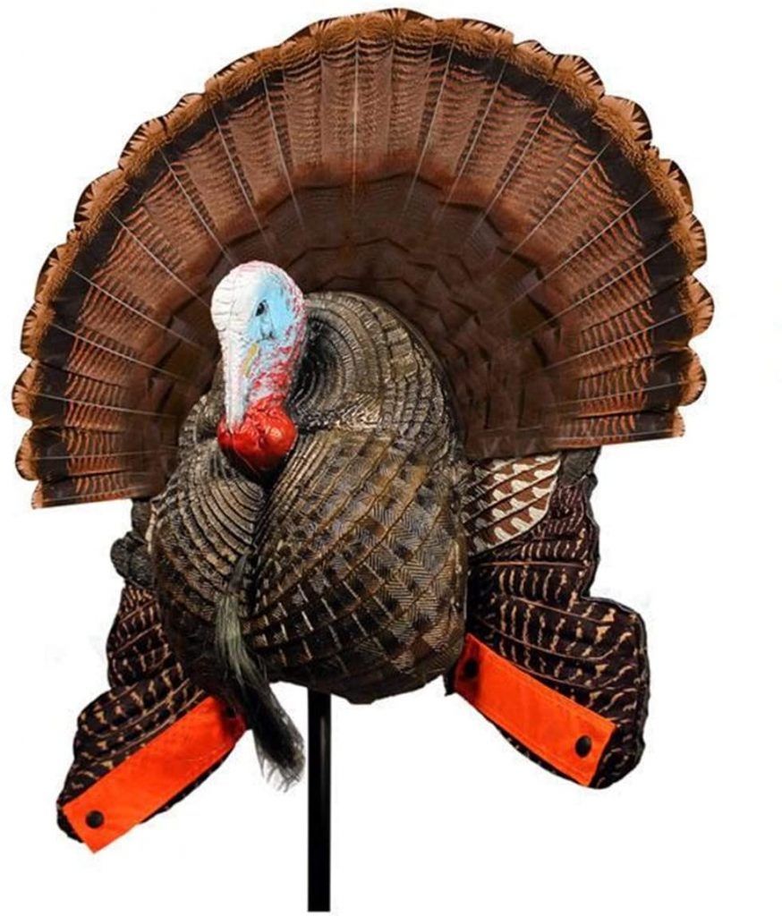Best Turkey Hunting Decoys [2023 Review] Top Most Realistic Decoy